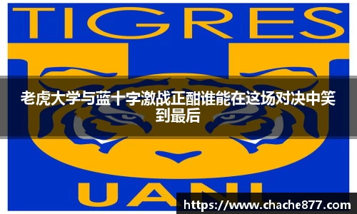 老虎大学与蓝十字激战正酣谁能在这场对决中笑到最后